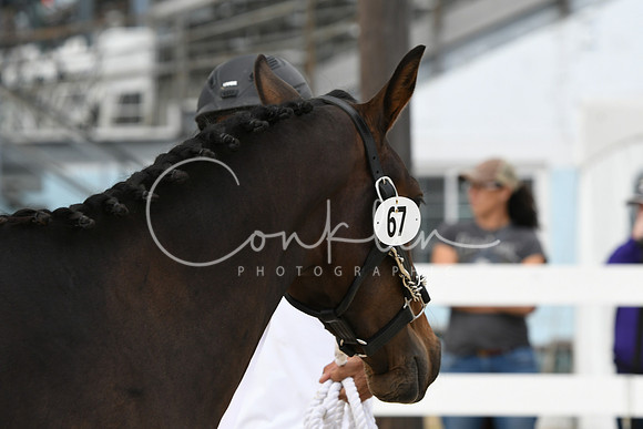 HSM_6180