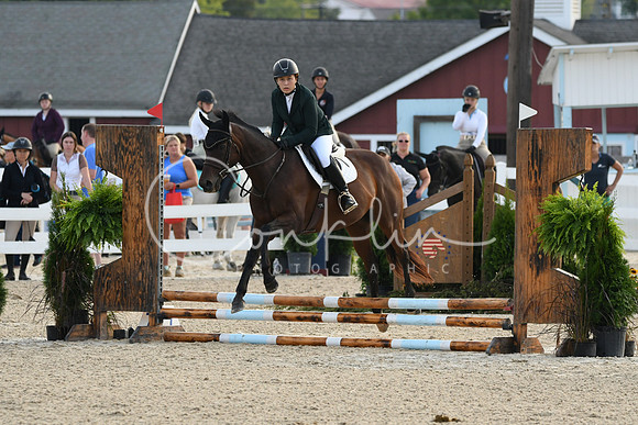 HSM_1043