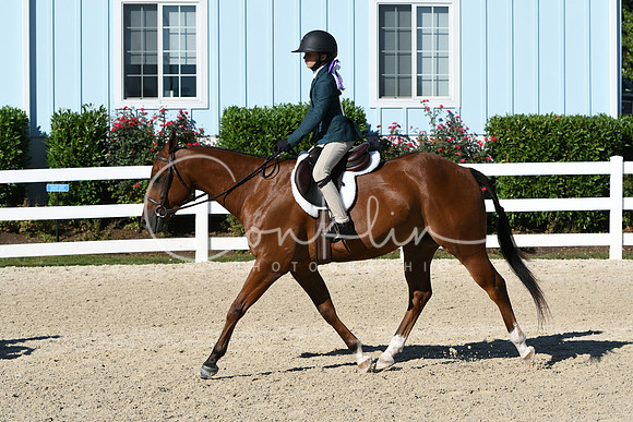 HSM_2290