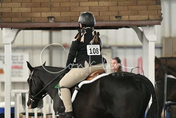 HSM_6196