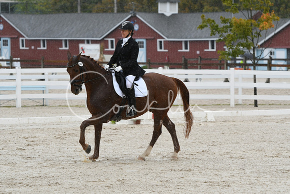 HSM_0367