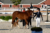 HSM_5587