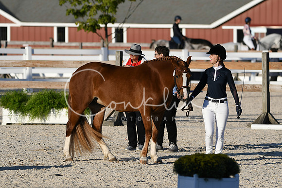 HSM_5587