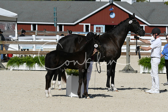 HSM_5196