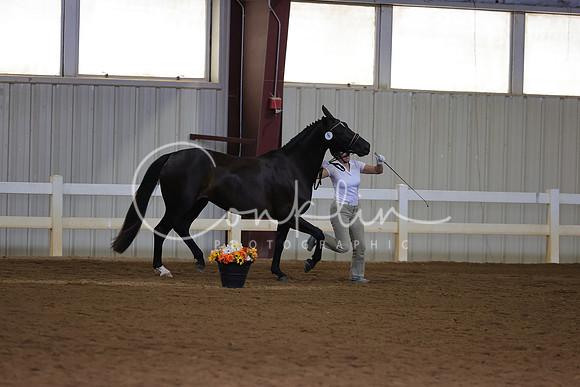 RJC34886