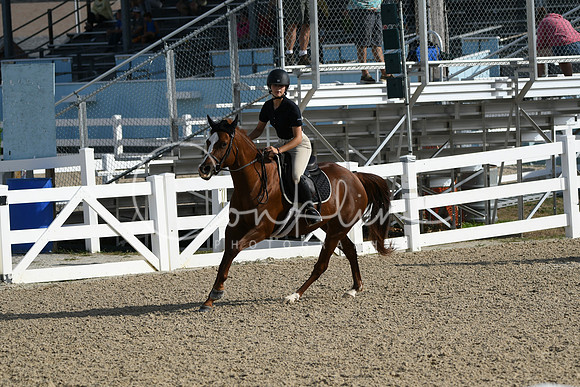 HSM_1498