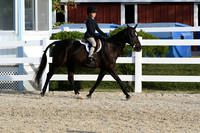 HSM_4550