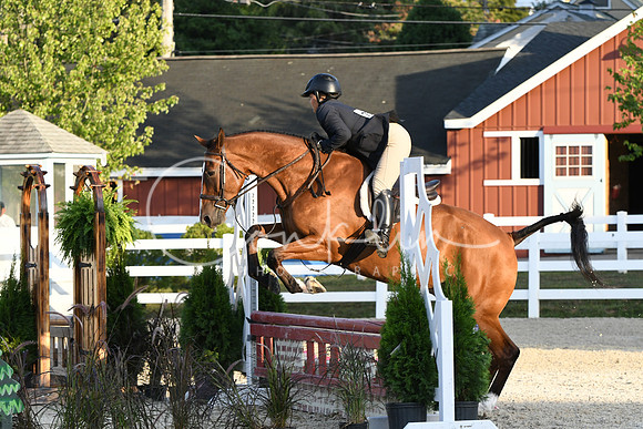 HSM_0236