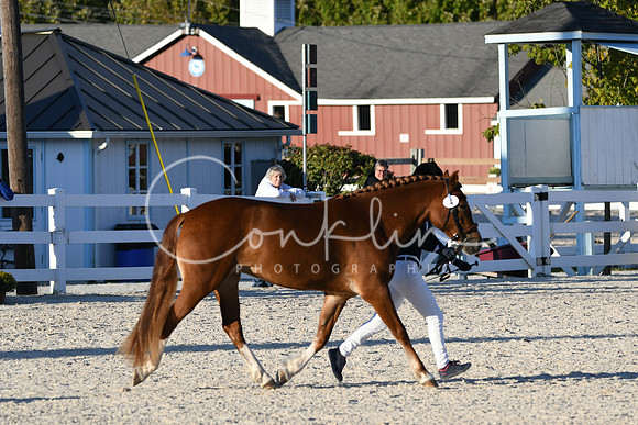 HSM_5590