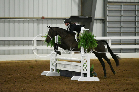 HSM_6477