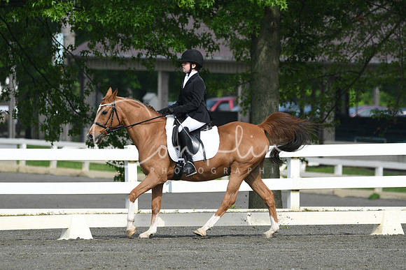 HSM_1040