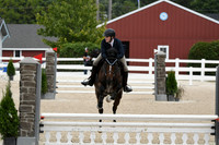 HSM_3350