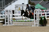 HSM_2386