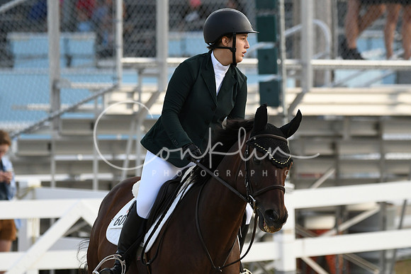 HSM_1041