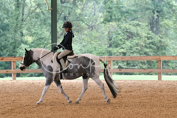 HSM_5101