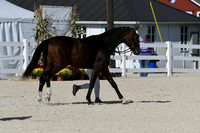 HSM_5227