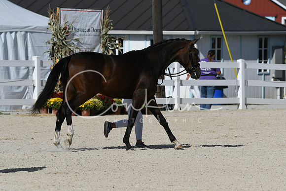 HSM_5227
