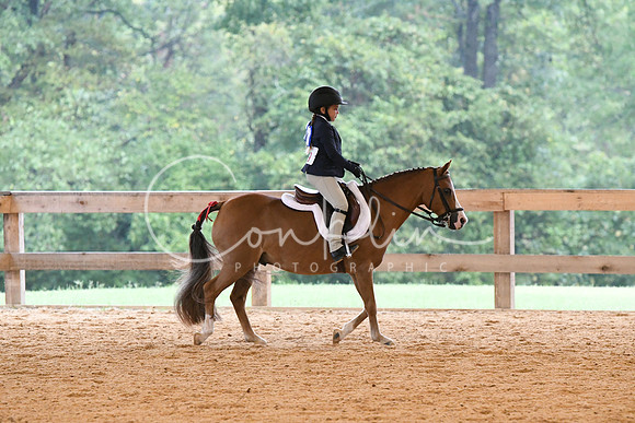 HSM_4272