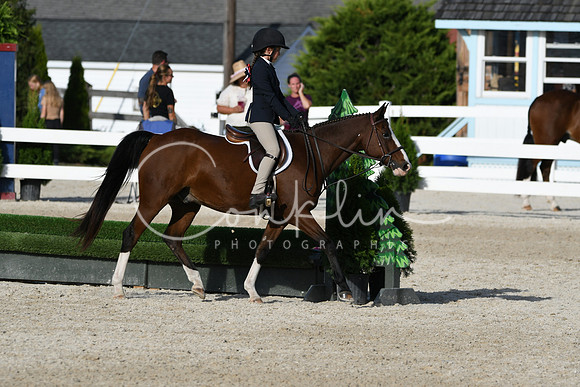 HSM_4333
