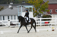 HSM_0877