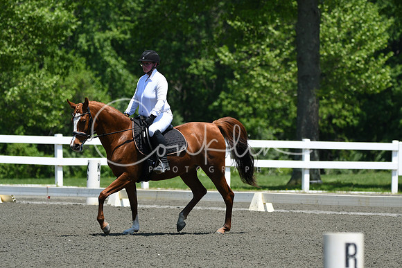 HSM_1711