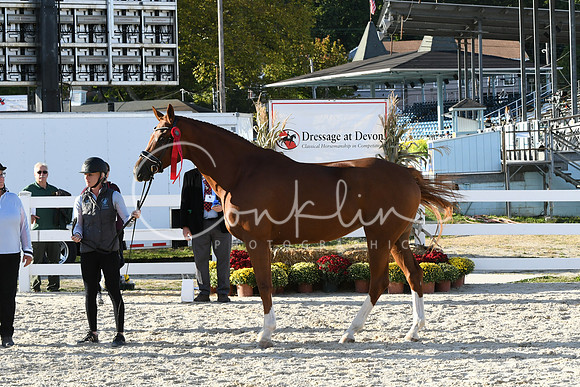 HSM_6266