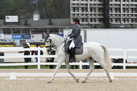 HSM_9553