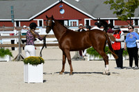 HSM_5188