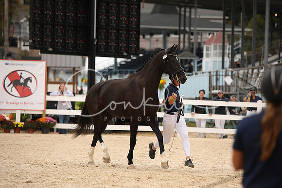 BW241382