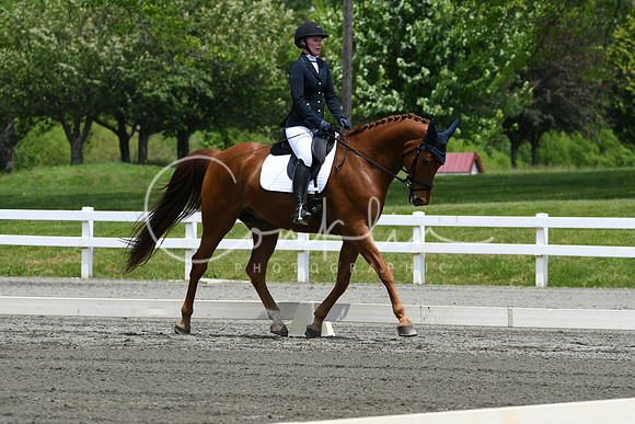 HSM_0271