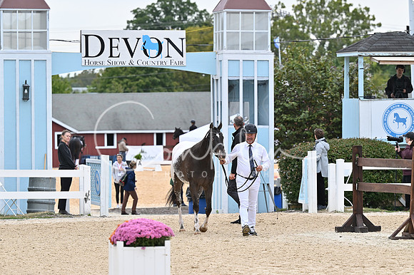 MAK_1189
