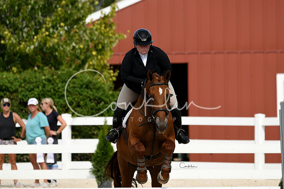 HSM_9519-1
