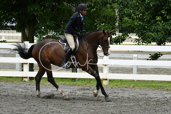 HSM_4138