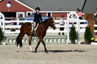 HSM_4263