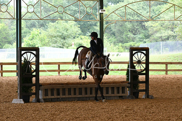 HSM_2715