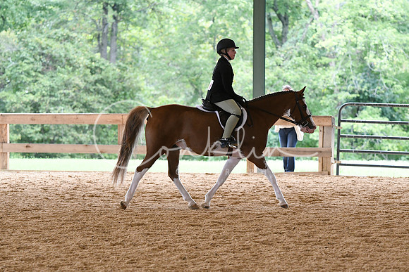 HSM_8309