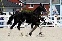 HSM_4938