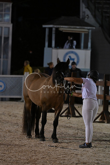 MAK_6379