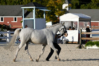 HSM_5538