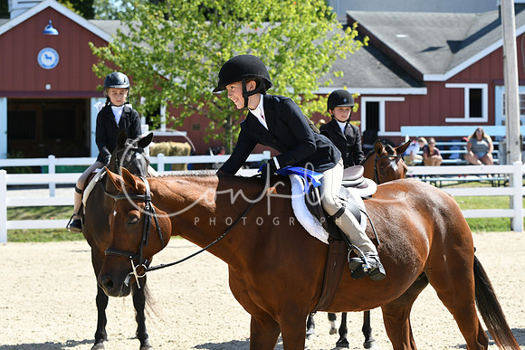 HSM_3354