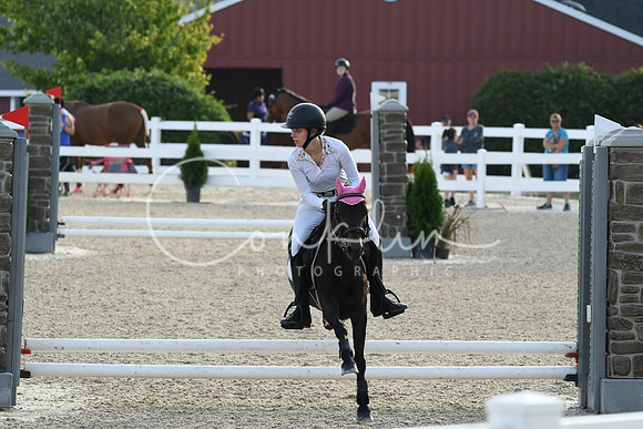 HSM_1136