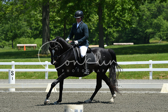 HSM_1817