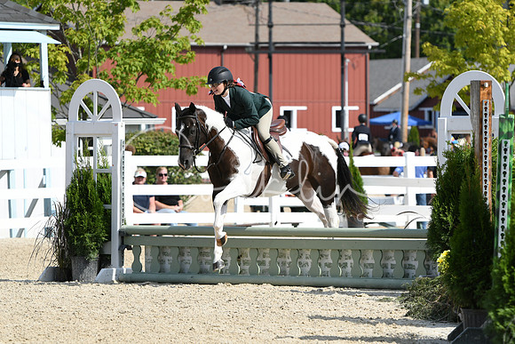 HSM_6266