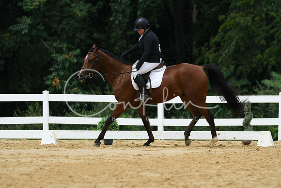 HSM_0500