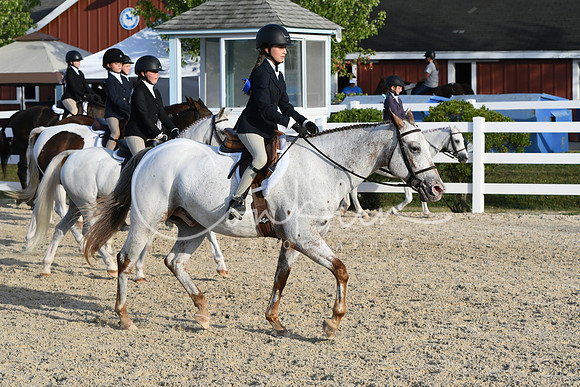 HSM_4560