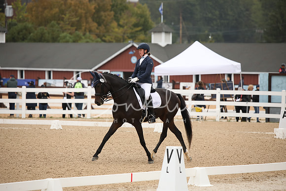 BW240722