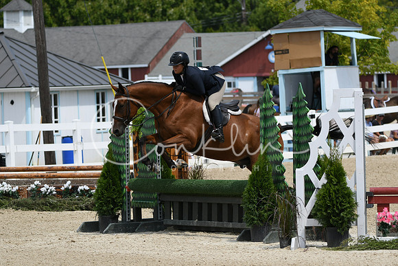 HSM_6862