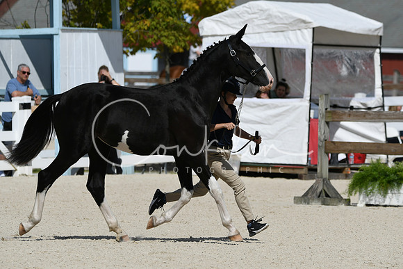 HSM_4939