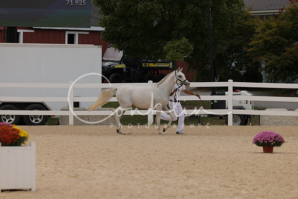 HLK_0695