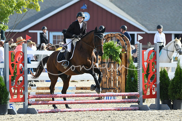 HSM_1431